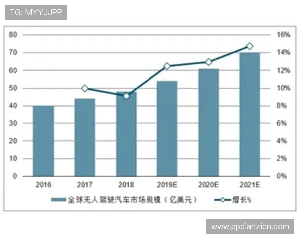 多宝电子集团怎么样未来发展战略与行业前景展望分析